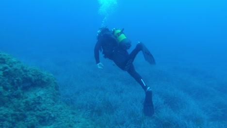 un buzo nadando cerca del fondo del mar mientras mira alrededor en una inmersión en mallorca, españa