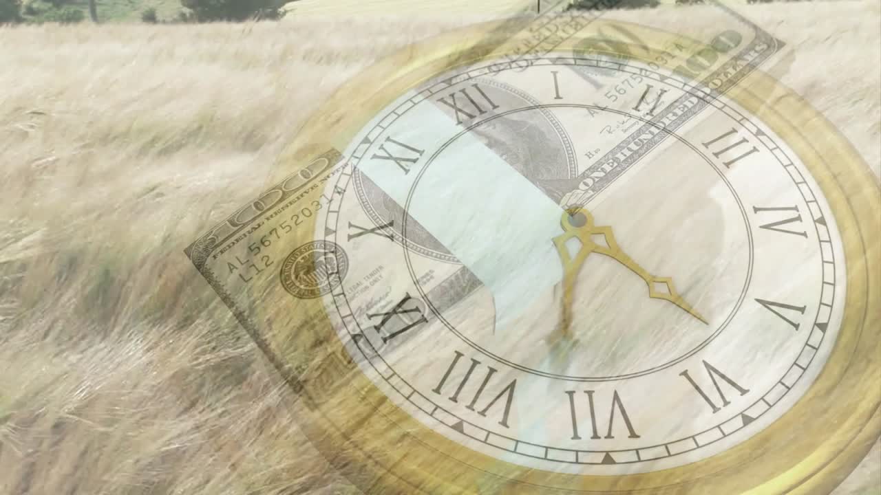 Quadrante di orologio traslucido che ruota sull'erba, una banconota che entra dall'alto a sinistra e si deposita, mostrando la finanza.