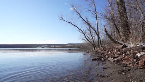 pan shot in yamaska national park