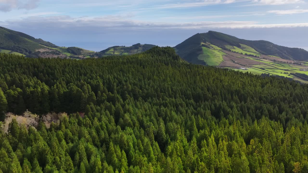 Lush green forest flyover in the Azores