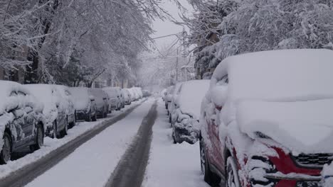 Autos-Estacionados-En-Un-Día-Nevado