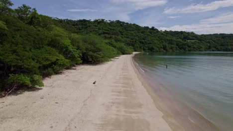 Aerial-dolly-out-of-dense-rainforest,-sand-shore-and-turquoise-sea-in-Nacascolo-beach-on-a-cloudy-day,-Papagayo-Peninsula,-Costa-Rica