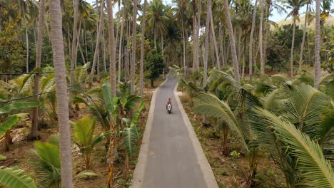 above view couple riding scooter on tropical island exploring palm tree forest on motorcycle tourists explore holiday destination with motorbike