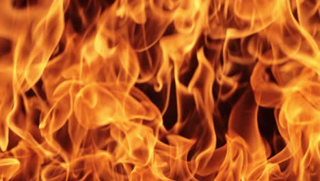 flames of fire on black background in slow motion