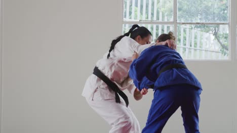 judokas training by doing a randori on the judo mat