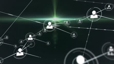 animación de la red de conexiones con iconos de personas digitales sobre luz verde