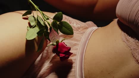 red rose on lingerie
