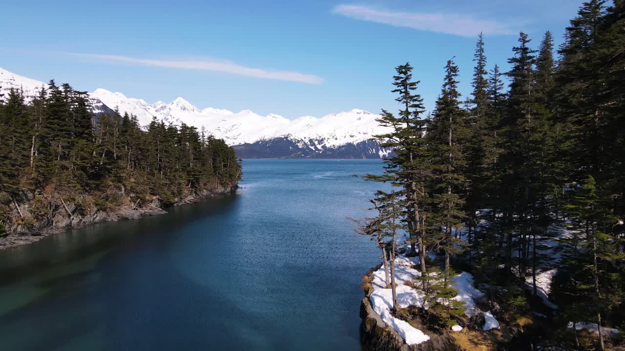 un dron de 4k se acerca lentamente a los pinos pasados sobre un cuerpo de agua azul oscuro con montañas blancas en el fondo y un cielo azul brillante cerca de whittier alaska