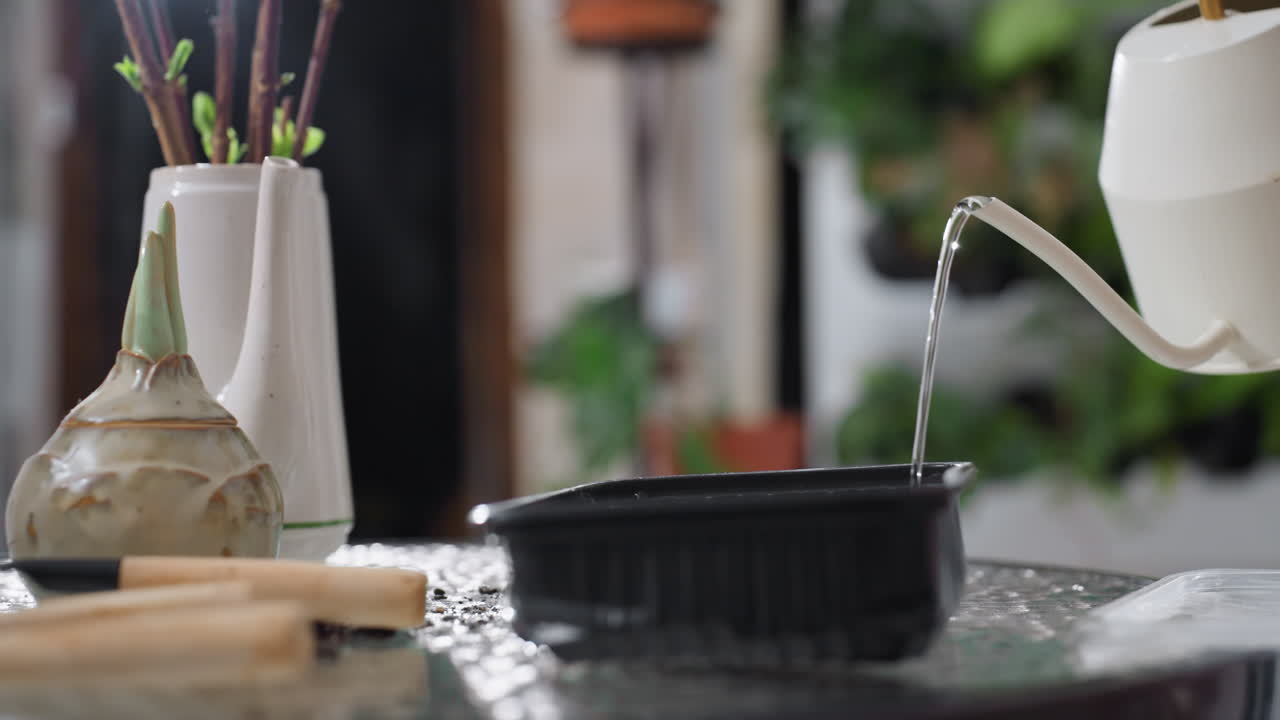 Hand view of character pouring water from sleek white watering can into disposable tray on textured round glass table surrounded by gardening tools cuttings and moist soil indoor scene