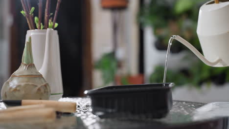 hand view of character pouring water from sleek white watering can into disposable tray on textured round glass table surrounded by gardening tools cuttings and moist soil indoor scene