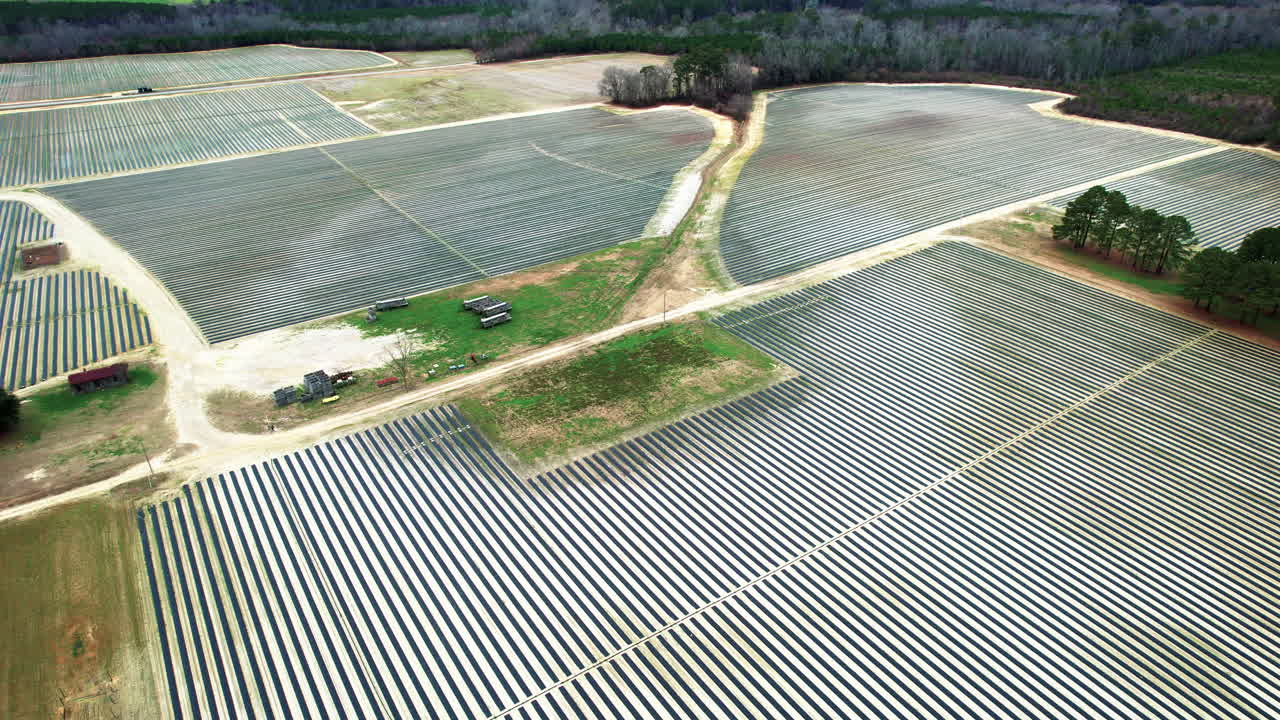 una foto de un avión no tripulado de una granja de fresas