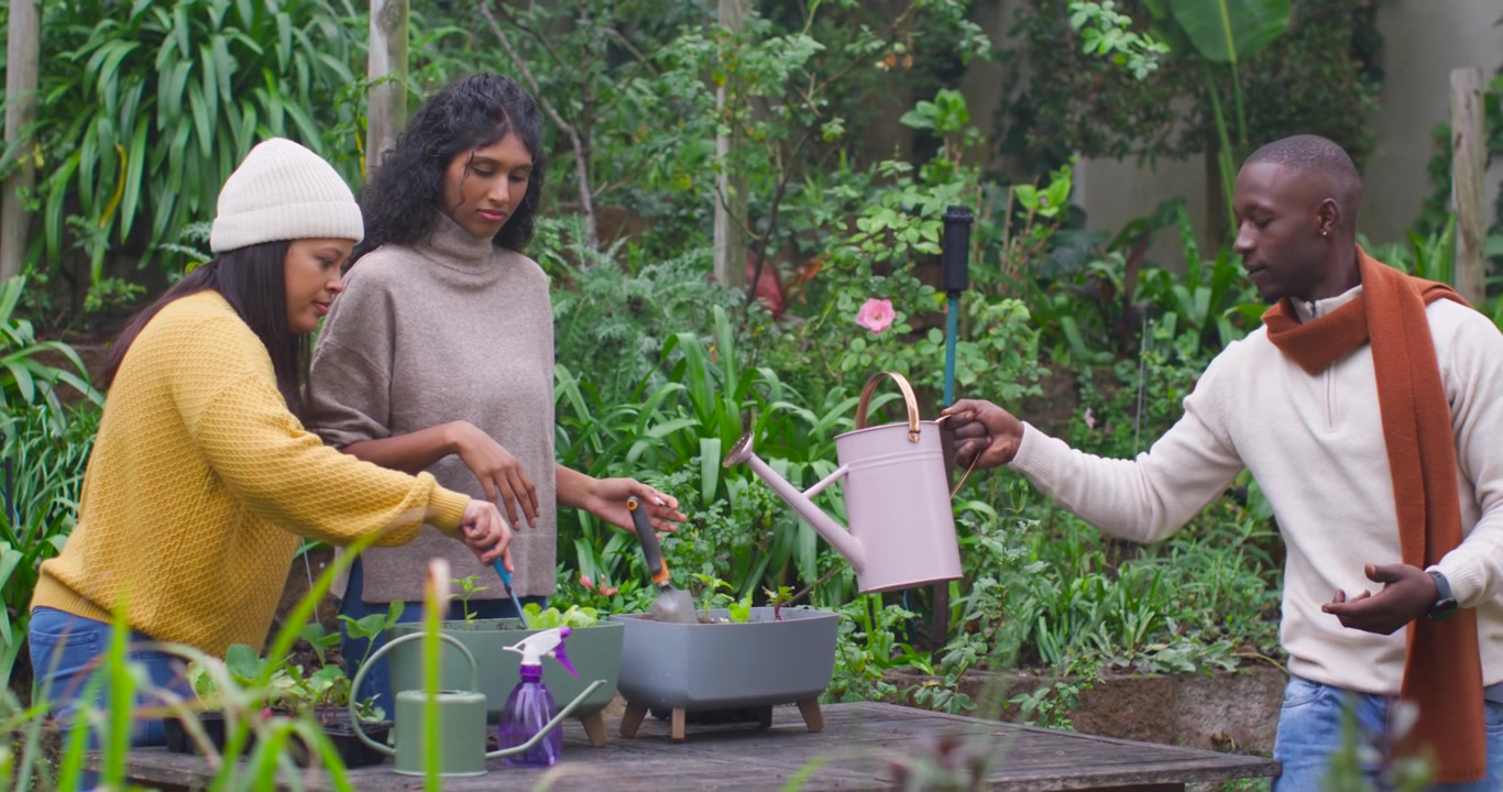 African American friends gathering in backyard digging placing seedlings pouring pink watering can