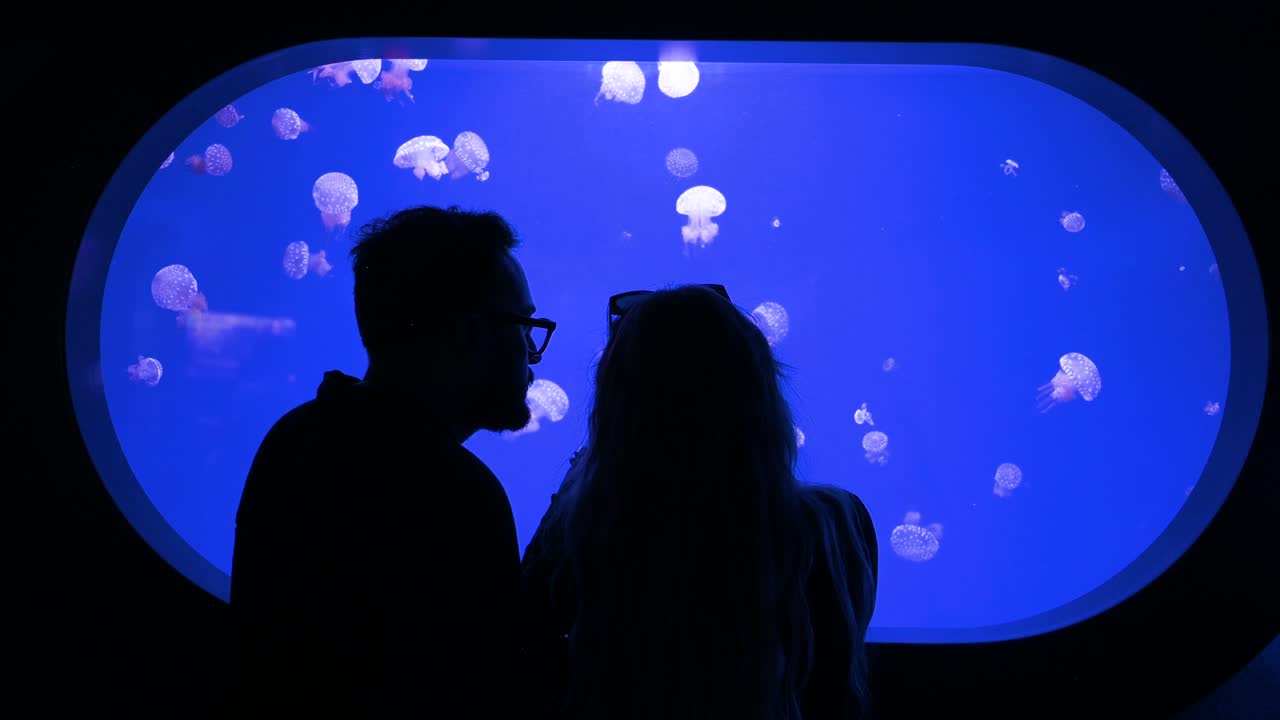 A couple observes white-spotted jellyfish (Phyllorhiza punctata) at the Oceanografic in the City of Arts and Sciences in Valencia. It is Europe’s largest oceanographic park.