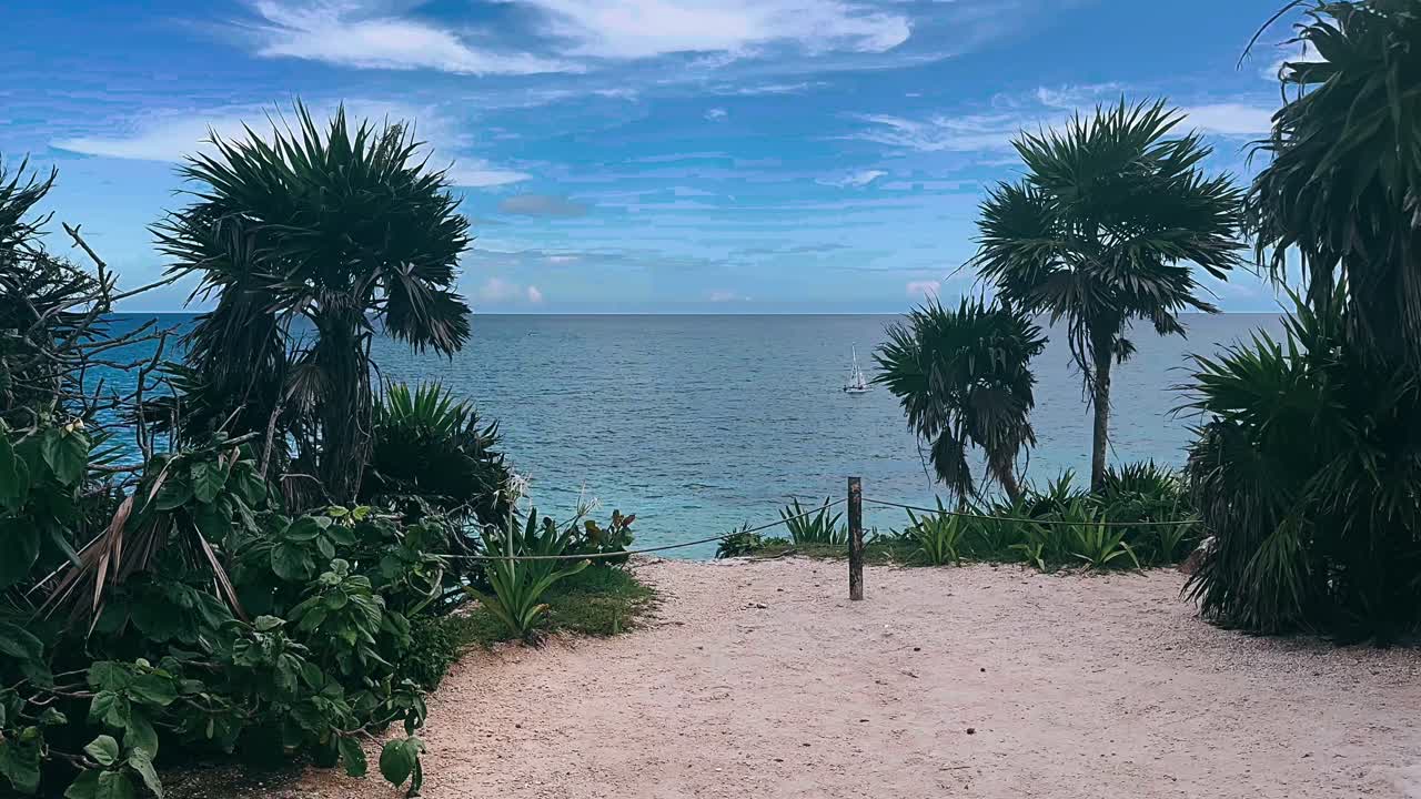 escena de playa tropical con palmeras y vista al océano