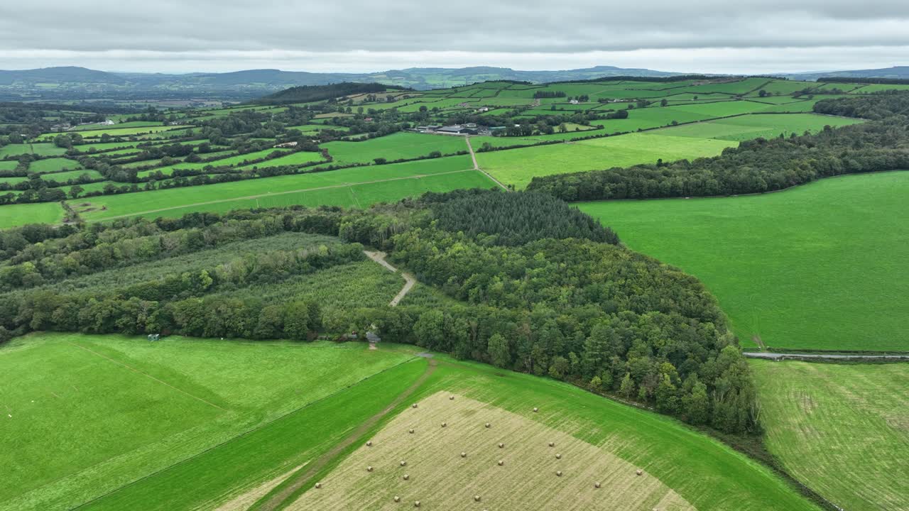 Aerial of green fertile pastures and forests in Co