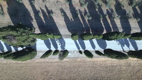 Smooth-aerial-top-view-flight-Tuscany-Cypress-Alley-Road-Mediteran-Italy-fall-23