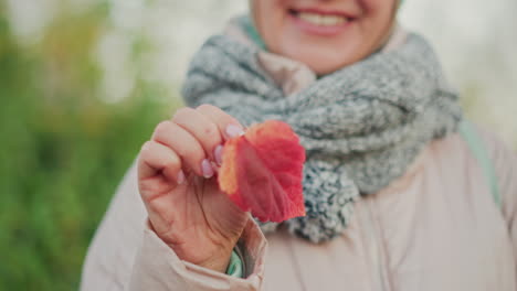 close up of cheerful woman in cozy jacket and thick scarf smiling joyfully while holding bright red autumn leaf between fingers, showcasing beauty of nature during crisp fall