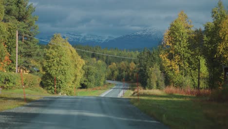 a narrow unpaved road goes through the norwegian countryside