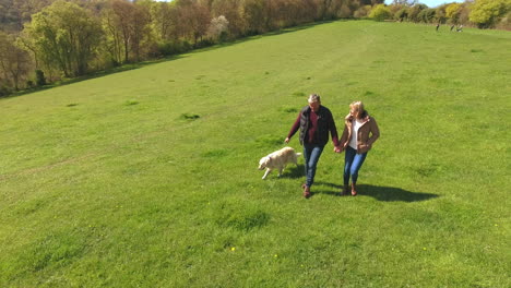 Toma-Aérea-De-La-Pareja-Madura-Y-El-Perro-A-Caminar-En-El-Campo