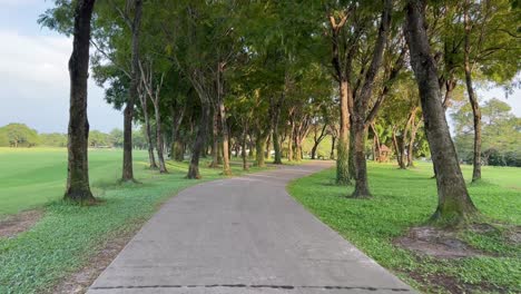 a tranquil golf course path lined with trees