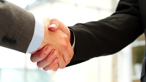 two-businessmen-shaking-hands