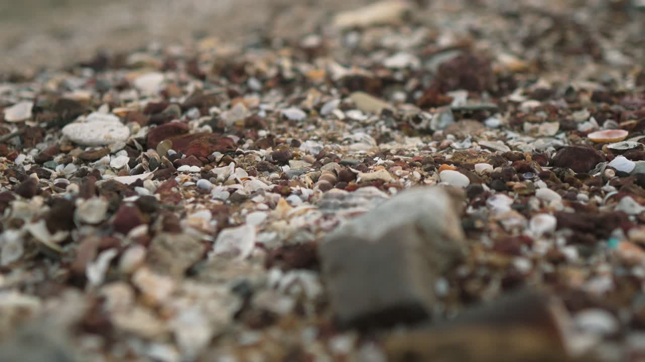 데기, 자갈, 작은 바위 들 이 여 있는 바위 해변 의 근접적 인 모습