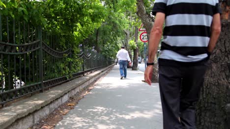 Walking-Between-Trees-Street