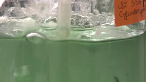 flask containing algae being aired under laboratory lighting conditions cultures of cyanobacteria being fed carbon dioxide