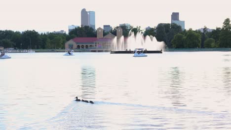 denver city park skyline with ducks swimming