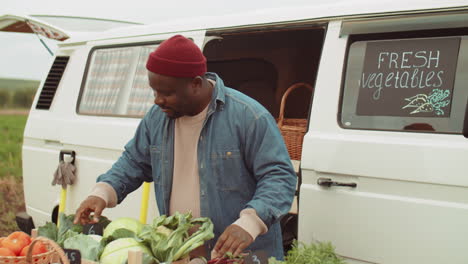 portrait of happy black farmer selling fresh vegetables