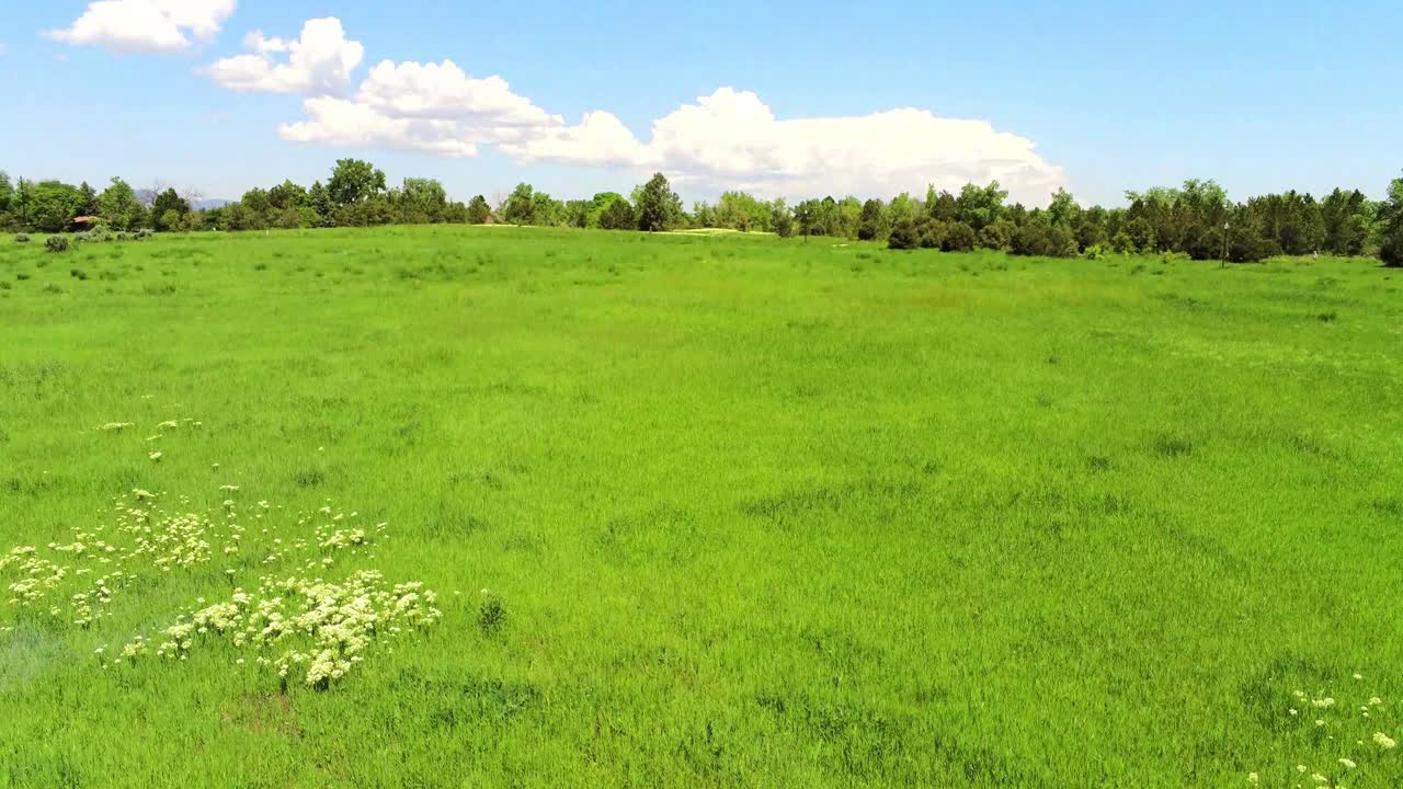 플러시 그린벨트 위로 떠오르는 드론 샷