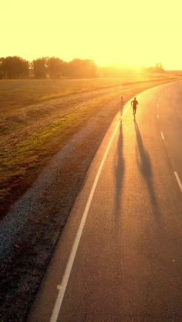 two individuals walking along a winding road at sunset, casting long shadows in golden light