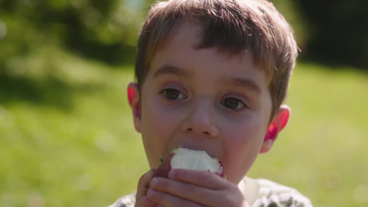 Cute portrait of a 4 year old boy eating a fresh apple at an orchard on a sunny day