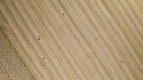 Cosecha-De-Heno-En-Tierras-Agrícolas,-Fardos-De-Heno-Esparcidos-En-Suelo-De-Campo-Agrícola-Seco-Dorado,-Vista-Aérea-De-Arriba-Hacia-Abajo,-Agricultura-Y-Paisaje