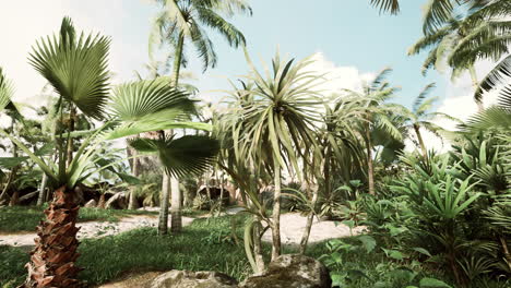 palmeras y plantas tropicales en un día soleado