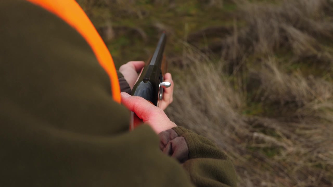 Over the shoulder shot of hunter wearing orange vest holding a shotgun in field. Concept for hunting season, waiting, weapon safety, outdoors, and shooting sport.