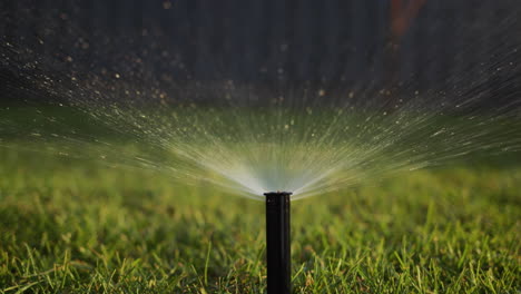 the automatic irrigation nozzle rises from the ground. a stream of water under pressure irrigates the green . slow motion 4k video