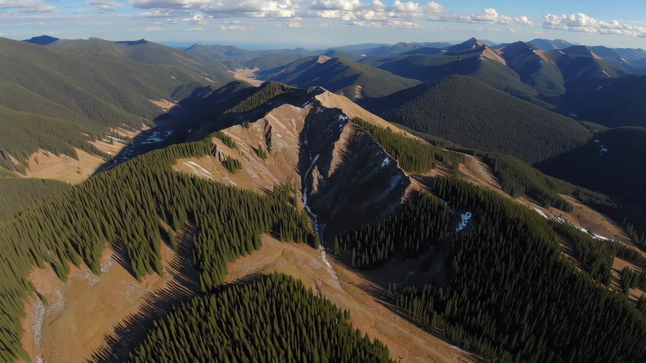 Aerial View of Mountainous Landscape with Pine Forests