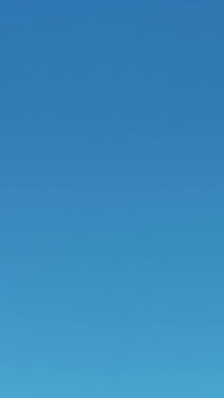 Aerial view of trees with clear sky in USA during daylight hours