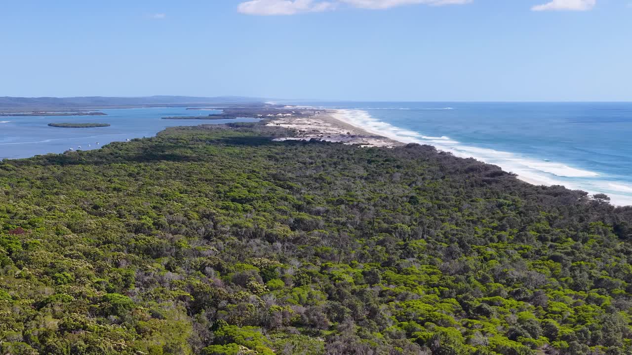Plano aéreo alto com drone sobre vegetação verde exuberante encontrando a costa azul do Oceano Pacífico