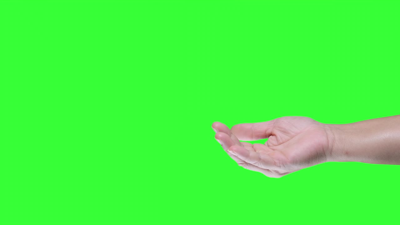 손은 녹색 화면 배경에 손바닥을 올려놓습니다.