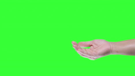 la mano está extendida con la palma hacia arriba en el fondo de la pantalla verde.