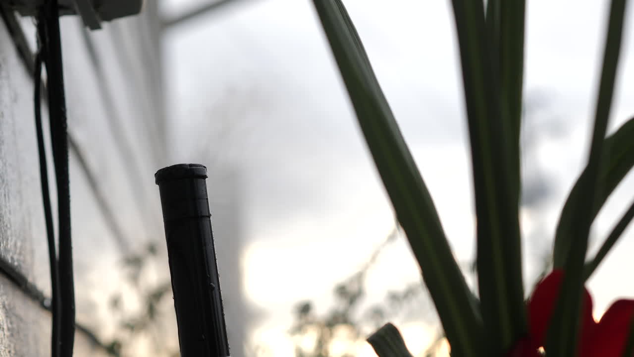 ajuste de la transmisión por engranajes del rotor rainbird 3500 al lado de la casa