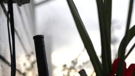 ajuste de la transmisión por engranajes del rotor rainbird 3500 al lado de la casa