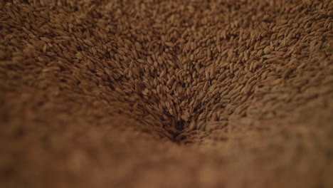 brewing process cereal grains making beer slow motion