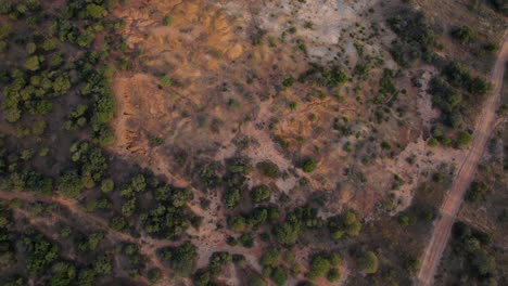 Paisaje-De-Arbustos-Y-Desierto-De-Arena-Naranja-Al-Atardecer-En-La-Sabana-Africana