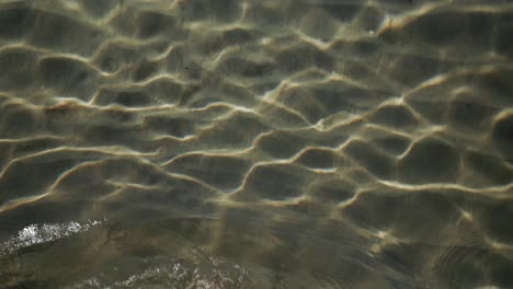 top view of female legs walking in clear water with sand at the bottom