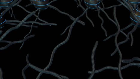 a perfectly synchronized dance of neurons in the human brain - seamless looping