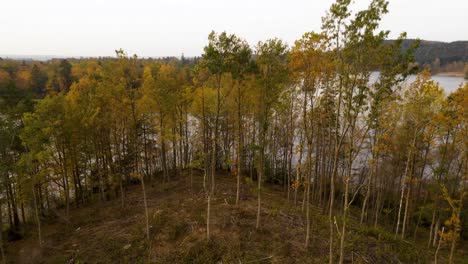 Aerial-view-of-lake-in-forest-with-autumn-colors