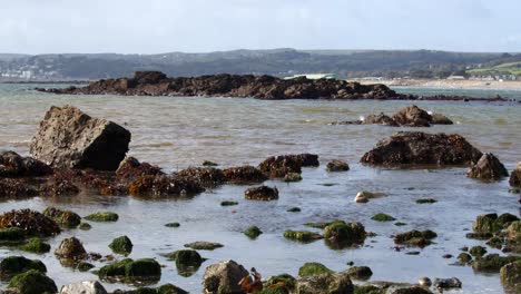 fotografía amplia de las rocas expuestas en la marea baja
